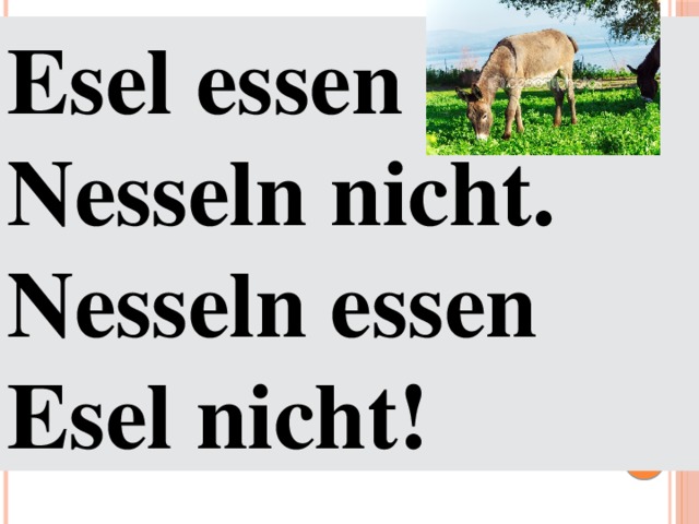 Esel essen Nesseln nicht.  Nesseln essen Esel nicht! 