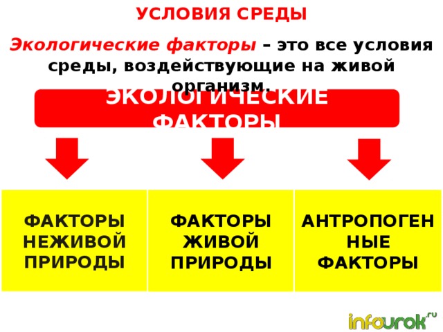Природные факторы обществознание