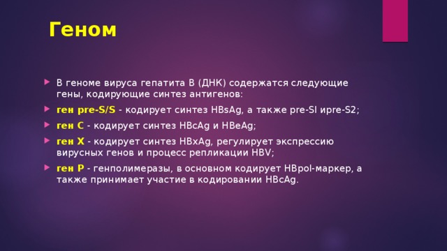 Геном В геноме вируса гепатита В (ДНК) содержатся следующие гены, кодирующие синтез антигенов: ген pre-S/S - кодирует синтез HBsAg, а также pre-Sl иpre-S2; ген С - кодирует синтез HBcAg и HBeAg; ген X - кодирует синтез HBxAg, регулирует экспрессию вирусных генов и процесс репликации HBV; ген Р - генполимеразы, в основном кодирует HBpol-маркер, а также принимает участие в кодировании HBcAg.