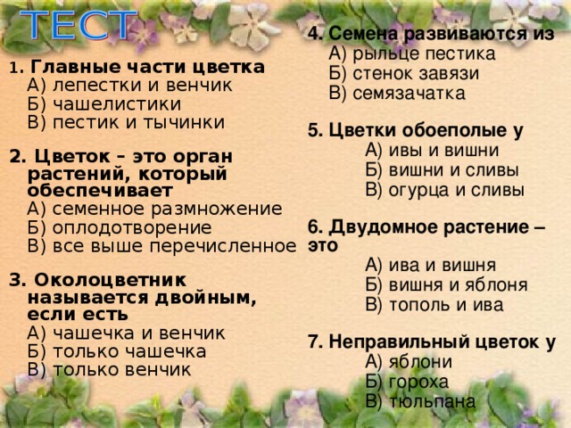 4. Семена развиваются из  А) рыльце пестика  Б) стенок завязи  В) семязачатка 5. Цветки обоеполые у  А) ивы и вишни  Б) вишни и сливы  В) огурца и сливы 6. Двудомное растение –  это  А) ива и вишня  Б) вишня и яблоня  В) тополь и ива 7. Неправильный цветок у  А) яблони  Б) гороха  В) тюльпана 1. Главные части цветка  А) лепестки и венчик  Б) чашелистики  В) пестик и тычинки 2. Цветок – это орган растений, который обеспечивает  А) семенное размножение  Б) оплодотворение  В) все выше перечисленное 3. Околоцветник называется двойным, если есть  А) чашечка и венчик  Б) только чашечка  В) только венчик 