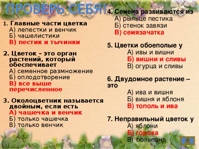 4. Семена развиваются из  А) рыльце пестика  Б) стенок завязи  В) семязачатка 5. Цветки обоеполые у  А) ивы и вишни  Б) вишни и сливы  В) огурца и сливы 6. Двудомное растение –  это  А) ива и вишня  Б) вишня и яблоня  В) тополь и ива 7. Неправильный цветок у  А) яблони  Б) гороха  В) тюльпана 1. Главные части цветка  А) лепестки и венчик  Б) чашелистики  В) пестик и тычинки 2. Цветок – это орган растений, который обеспечивает  А) семенное размножение  Б) оплодотворение  В) все выше перечисленное 3. Околоцветник называется двойным, если есть  А) чашечка и венчик  Б) только чашечка  В) только венчик 11 