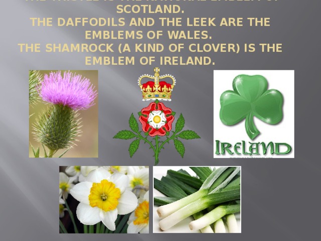 What is the symbol of scotland