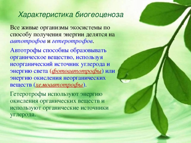 Растение группа биогеоценоза. Характеристика биогеоциноз. Характеристика биогеоценоза. Характеристика видов биогеоценозов. Таблица характеристика биогеоценоза.
