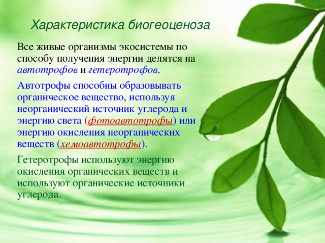 Природное сообщество биогеоценоз 9 класс презентация