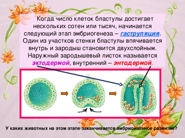 Радиус от сотен до нескольких тысяч километров вид компьютерной сети