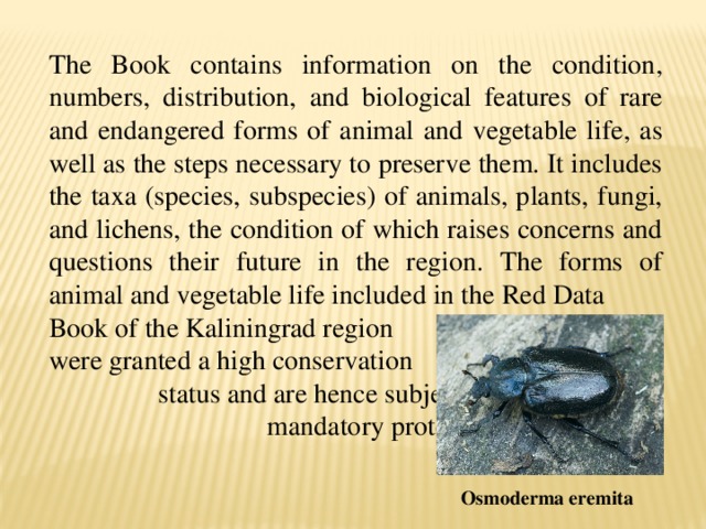 The Book contains information on the condition, numbers, distribution, and biological features of rare and endangered forms of animal and vegetable life, as well as the steps necessary to preserve them. It includes the taxa (species, subspecies) of animals, plants, fungi, and lichens, the condition of which raises concerns and questions their future in the region. The forms of animal and vegetable life included in the Red Data Book of the Kaliningrad region were granted a high conservation status and are hence subjects of mandatory protection. Osmoderma eremita