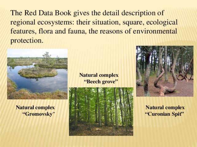 The Red Data Book gives the detail description of regional ecosystems: their situation, square, ecological features, flora and fauna, the reasons of environmental protection. Natural complex “Beech grove” Natural complex “Gromovsky ” Natural complex “Curonian Spit”