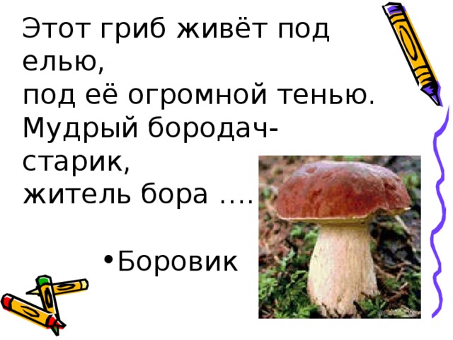 Этот гриб живёт под елью,  под её огромной тенью.  Мудрый бородач-старик,  житель бора …… Боровик 