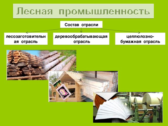 Состав отрасли деревообрабатывающая отрасль лесозаготовительная отрасль целлюлозно-бумажная отрасль 