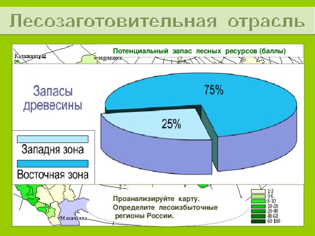 Потенциальный запас лесных ресурсов (баллы) Проанализируйте карту. Определите лесоизбыточные регионы России. 