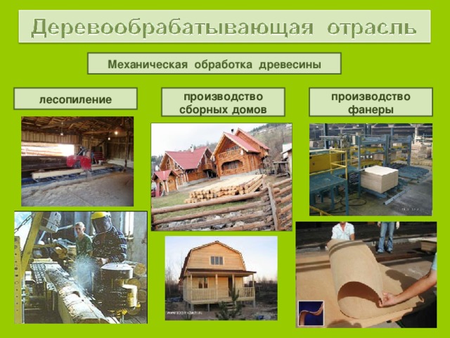 Механическая обработка древесины лесопиление производство сборных домов производство фанеры 