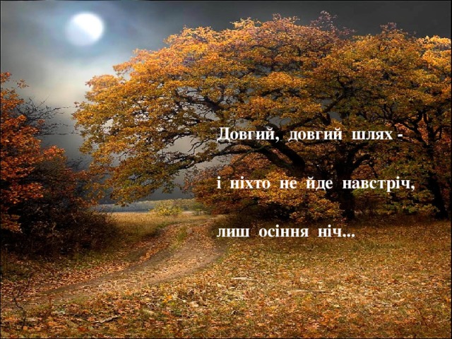 Довгий,  довгий  шлях - і  ніхто  не  йде  навстріч, лиш осіння ніч... 