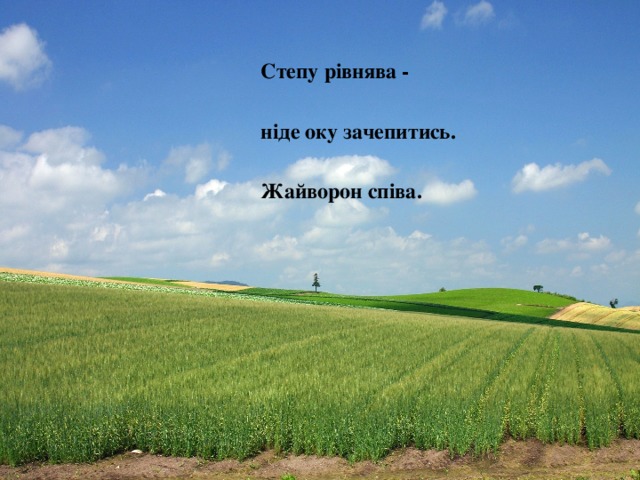 Степу рівнява - ніде оку зачепитись. Жайворон співа. 