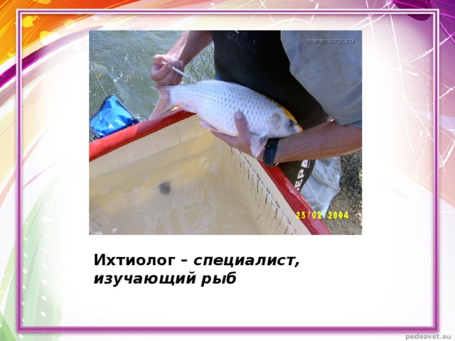 Ихтиолог – специалист, изучающий рыб . 