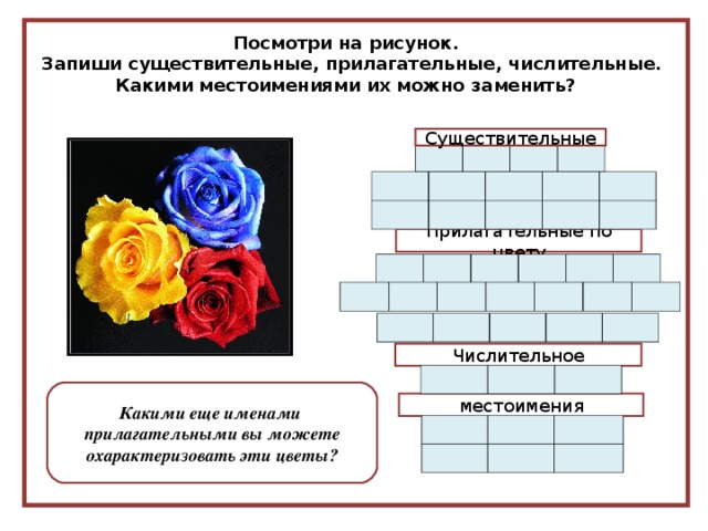 Посмотри на рисунок.  Запиши существительные, прилагательные, числительные. Какими местоимениями их можно заменить? Существительные Прилагательные по цвету Числительное Какими еще именами прилагательными вы можете охарактеризовать эти цветы? местоимения  