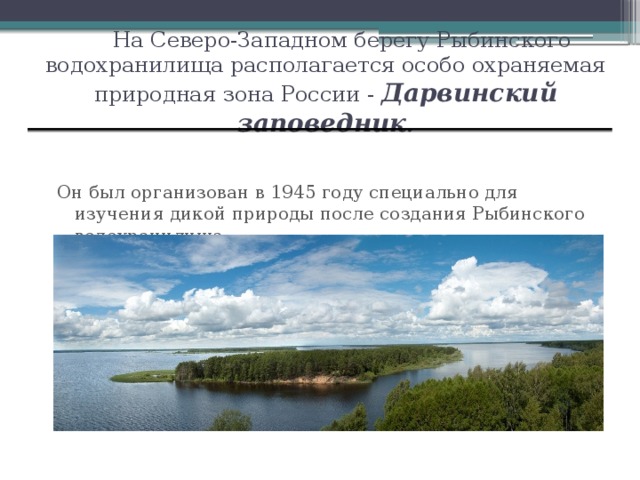 Плюсы водохранилищ. Растительный мир Рыбинского водохранилища. ООПТ Рыбинского водохранилища. Особо охраняемая природная зона Дарвинский. Влияние водохранилищ.