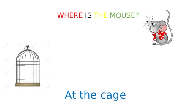 WHERE IS THE  MOUSE? At the cage 