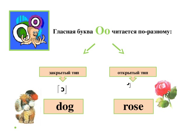 Oo Гласная буква читается по-разному: открытый тип закрытый тип rose dog 