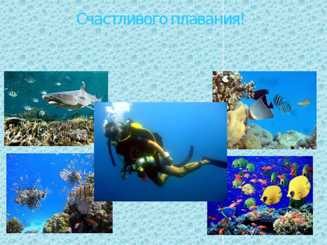 Счастливого плавания! 
