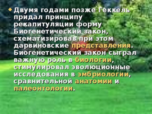 закон биогенетический - прочее - презентации. закон биогенетический.. учителю, презентации, закон биогенетический. учите