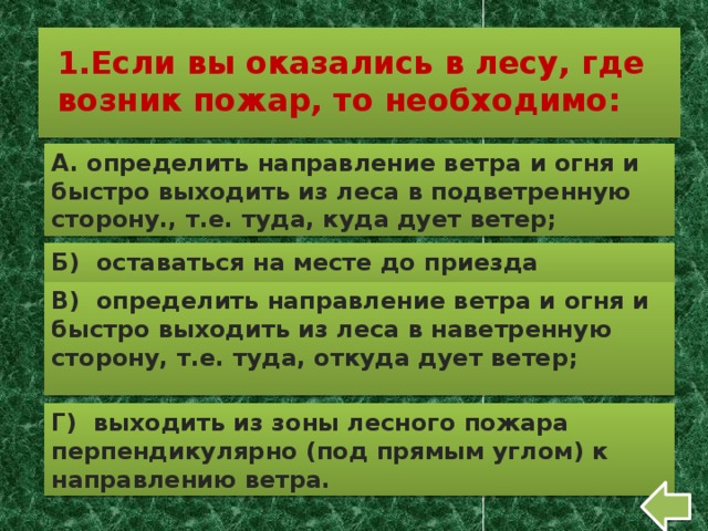 План действий если вы оказались в лесу вблизи очага пожара