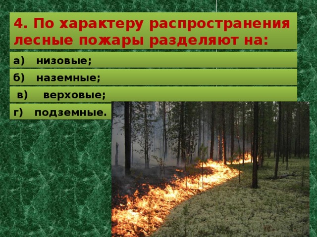 Верховые пожары распространяются. Низовой беглый Лесной пожар. Лесные пожары по характеру. Лесные пожары низовые подземные верховые.
