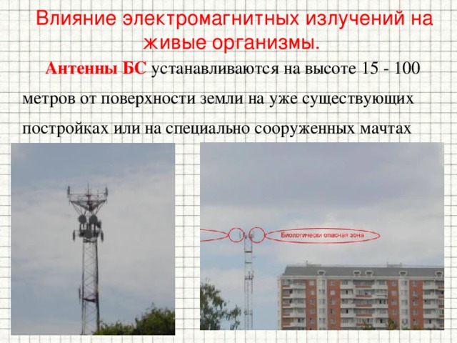 Влияние электромагнитных излучений на живые организмы.  Антенны БС устанавливаются на высоте 15 - 100 метров от поверхности земли на уже существующих постройках или на специально сооруженных мачтах 