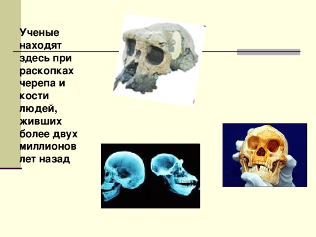 Ученые находят здесь при раскопках черепа и кости людей, живших более двух миллионов лет назад  