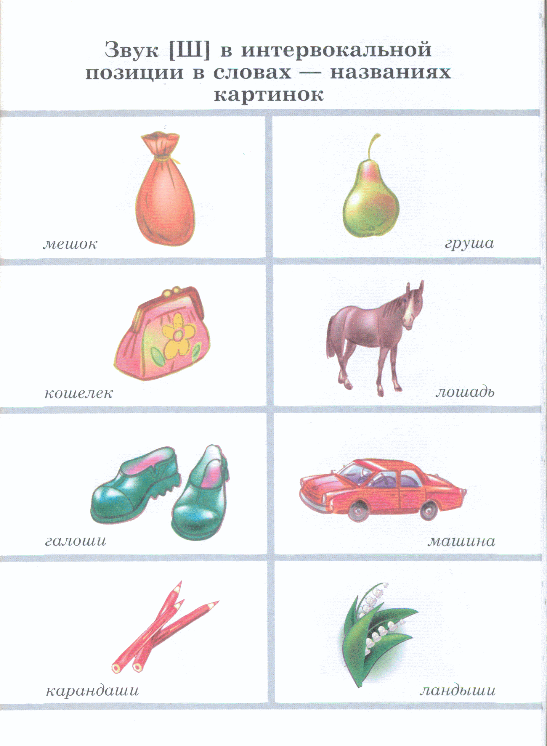 Картинки со звуками ш ж