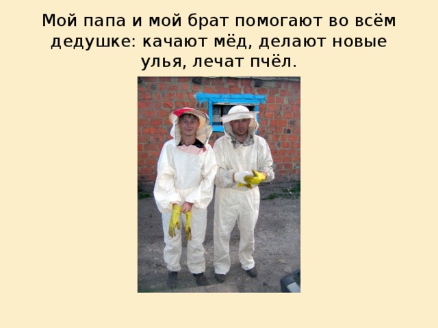  Мой папа и мой брат помогают во всём дедушке: качают мёд, делают новые улья, лечат пчёл.   