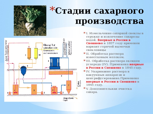 Развитие сахарного производства в россии презентация