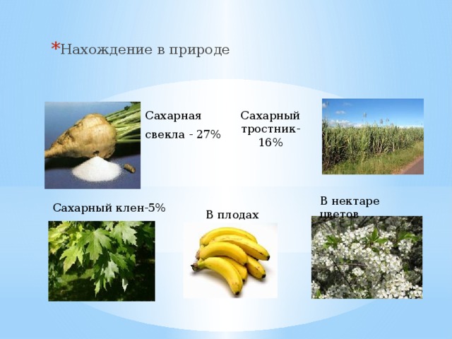 Нахождение в природе Сахарная Сахарный тростник-16% свекла - 27% В нектаре цветов Сахарный клен-5% В плодах 