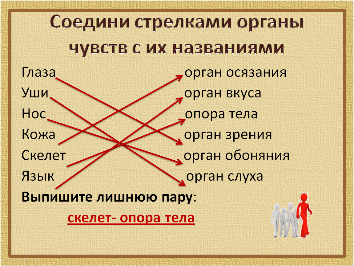 Окружающий мир опора тела и движение. Органы чувств Соедини.