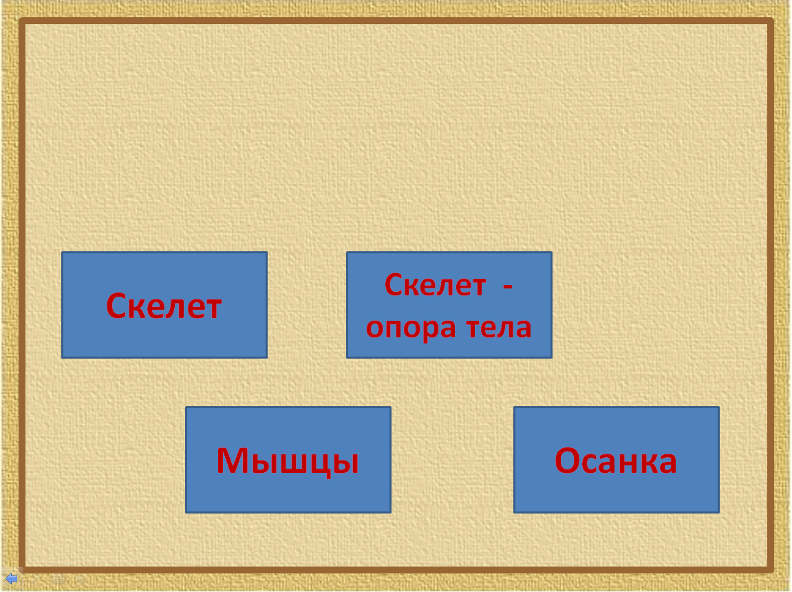 Опора тела и движение 3 класс окружающий. Опора тела и движение осанка. Скелет опора тела пословица. Опора тела и движение 3 класс Плешаков раздаточный материал. Интересные задания по теме опора тела и движение 3 класс.