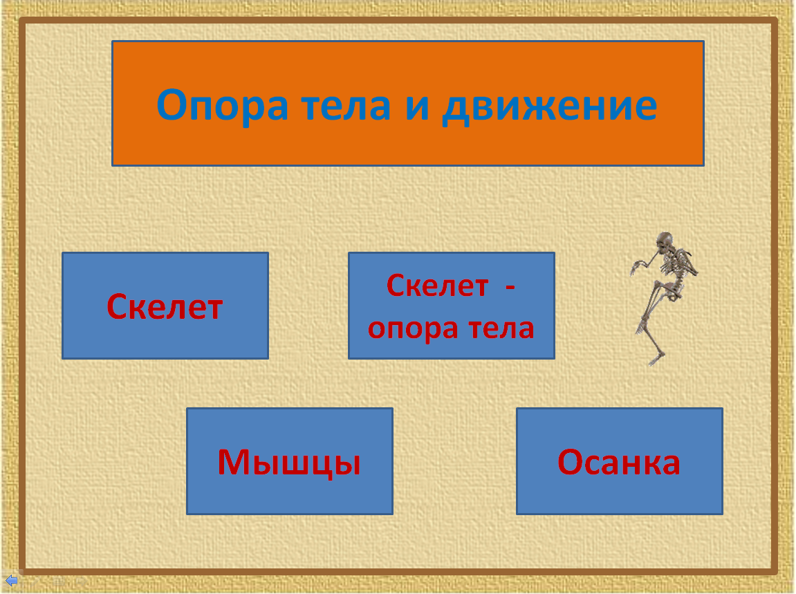 Опора и движение. Опора тела и движение. Окружающий мир 3 класс опора тела и движение.