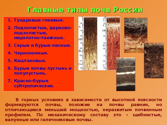 Главные типы почв России Тундровые глеевые. Подзолистые, дерново-подзолистые, мерзлотно-таежные. Серые и бурые лесные. Черноземные. Каштановые. Бурые почвы пустынь и полупустынь. Красно-бурые субтропические.  В горных условиях в зависимости от высотной поясности формируются почвы, похожие на почвы равнин, но отличающиеся меньшей мощностью, неразвитым почвенным профилем. По механическому составу это - щебнистые, валунные или галечниковые почвы. 