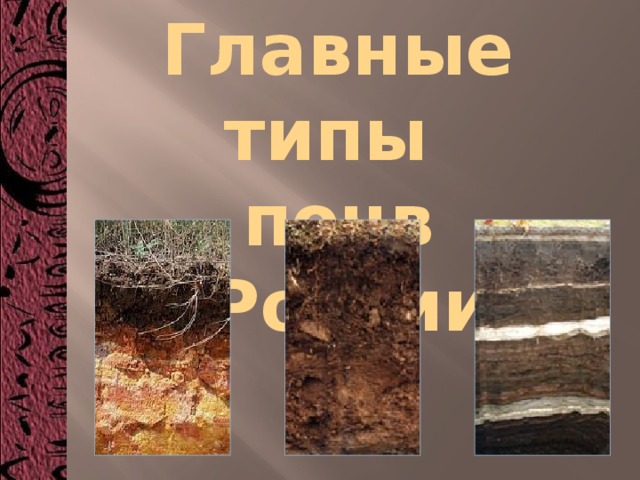 Главные типы почв России 