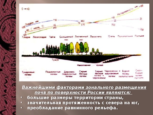 Важнейшими факторами зонального размещения почв по поверхности России являются:   большие размеры территории страны,  значительная протяженность с севера на юг,  преобладание равнинного рельефа. 