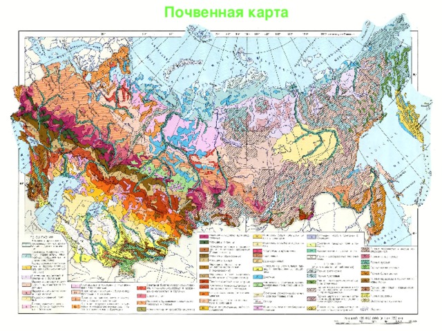 Почвенная карта Почвенная карта 