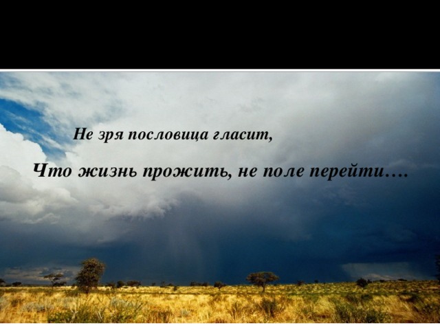 Картинки жизнь прожить не поле перейти