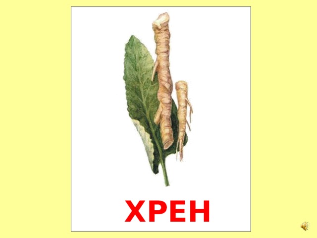 Скачай это бесплатное Фото на тему Щавель мем и открой