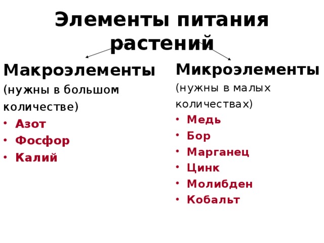 Элемент выбора. Элементы питания растений микроэлементы и макроэлементы. Основные элементы питания растений. Макроэлементы и микроэлементы минерального питания растений. Основные элементы питания растений (макроэлементы, микроэлементы).