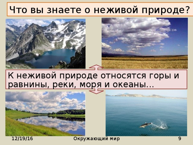 К какой природе относится вода. Неживая природа субтропиков. Гора относится к неживой природе. Неживая природа у чёрного моря. Условия неживой природы в субтропиках.