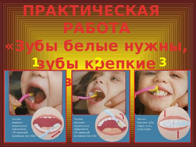 ПРАКТИЧЕСКАЯ РАБОТА «Зубы белые нужны, зубы крепкие важны» 1 2 3 