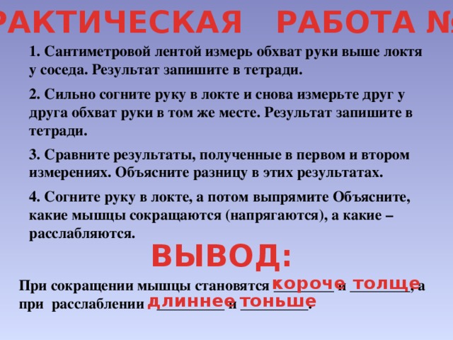 Что составляет опорно двигательную систему человека 4 класс. Смотреть фото Что составляет опорно двигательную систему человека 4 класс. Смотреть картинку Что составляет опорно двигательную систему человека 4 класс. Картинка про Что составляет опорно двигательную систему человека 4 класс. Фото Что составляет опорно двигательную систему человека 4 класс