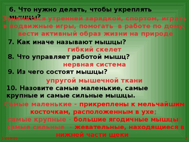С помощью чего пища переваривается в желудке 4 класс ответ