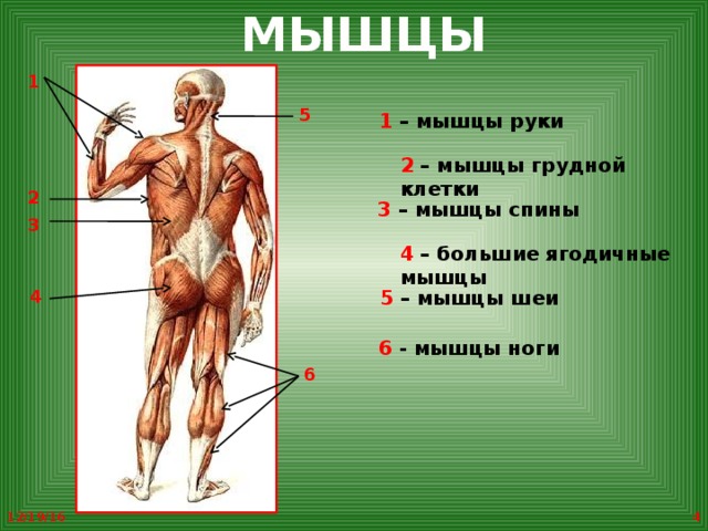 Что такое здоровье 1 класс окружающий мир школа 21 века презентация