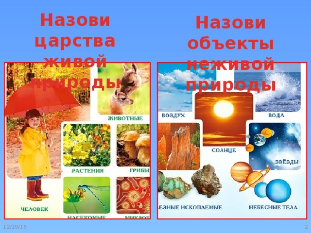 Человек часть живой природы 8 класс презентация