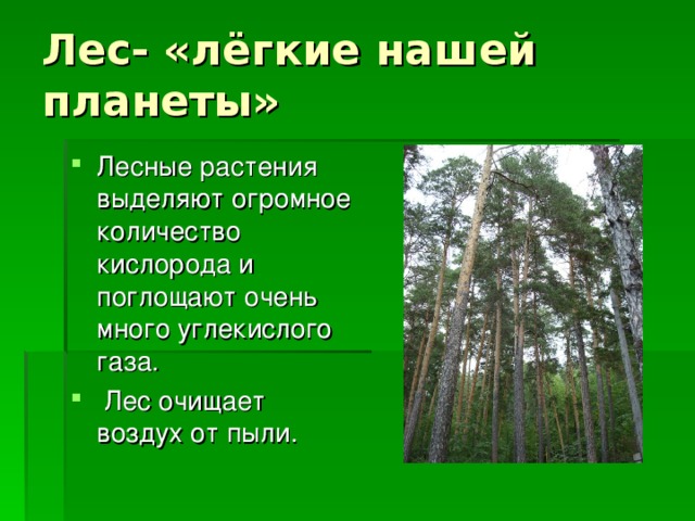 Почему лес назвали лесом. Леса легкие нашей планеты. Лес легкие нашей планеты. Лес лёгкие планеты презентация. Лес легкие нашей планеты презентация.