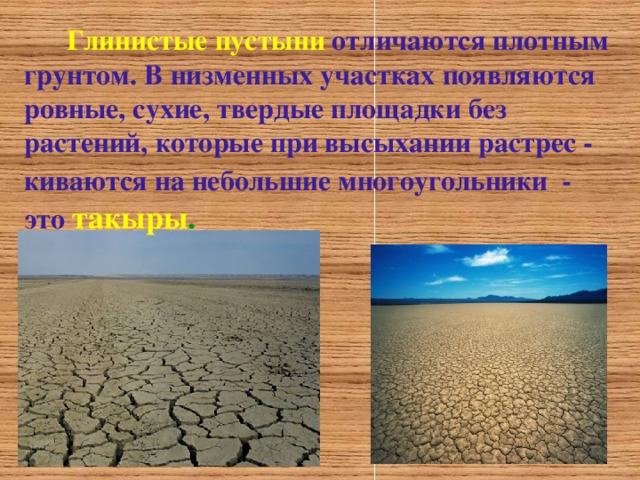 Не станет ли земля пустыней 5 класс биология презентация